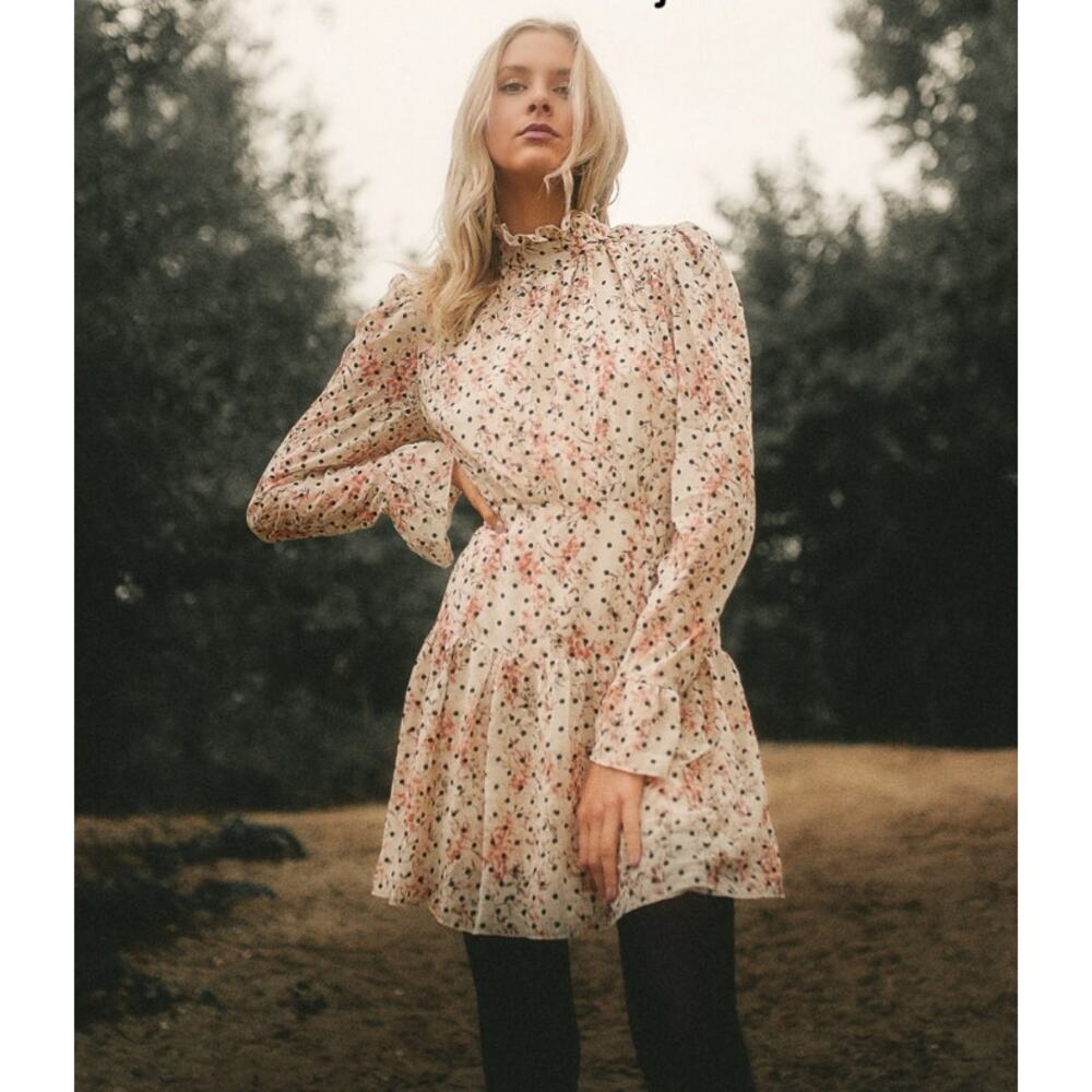 Nasty Gal Floral Polka-Dot‎ Chiffon Mini Dress High Neck Long Sleeve Sz 4